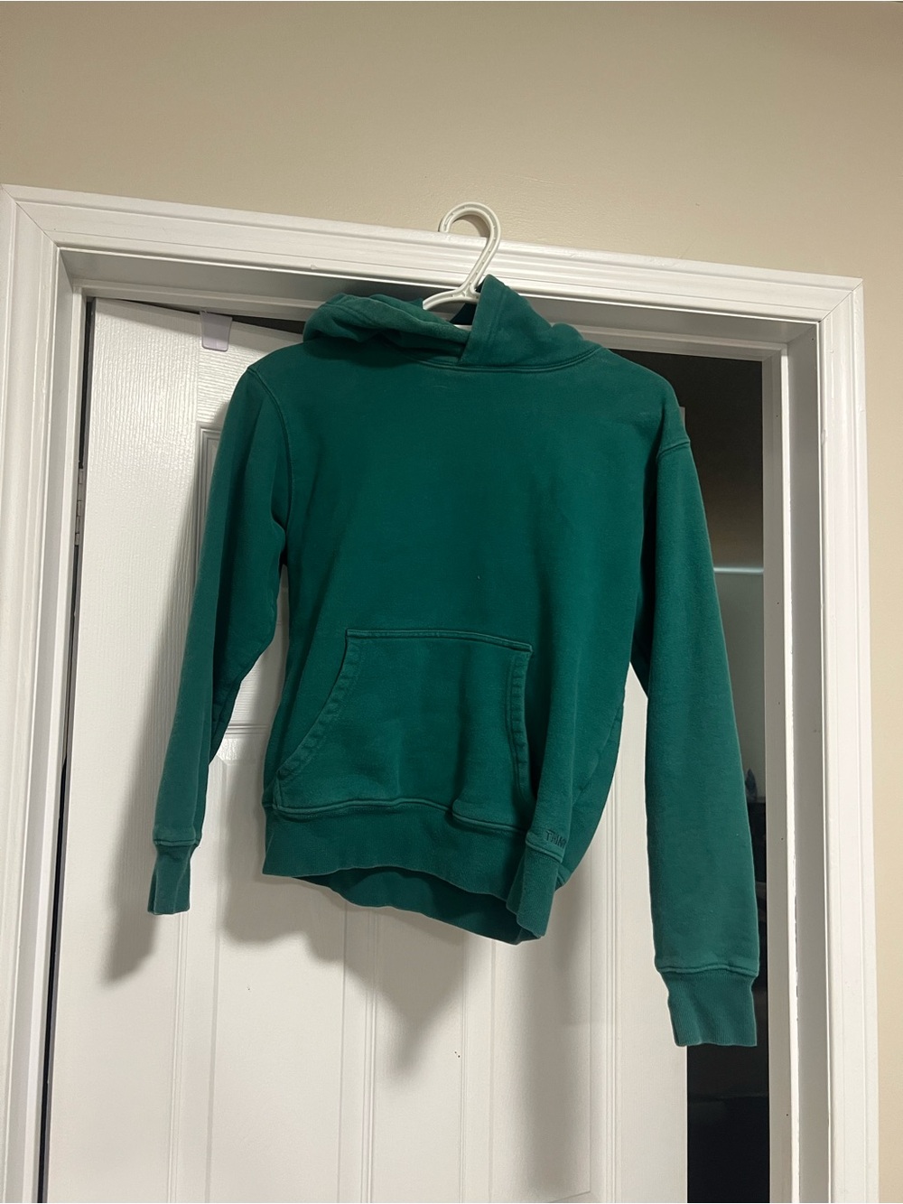 Cozy fleece Aritzia hoodie